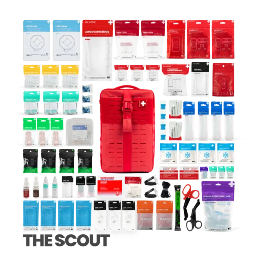 v2 Scout Layout